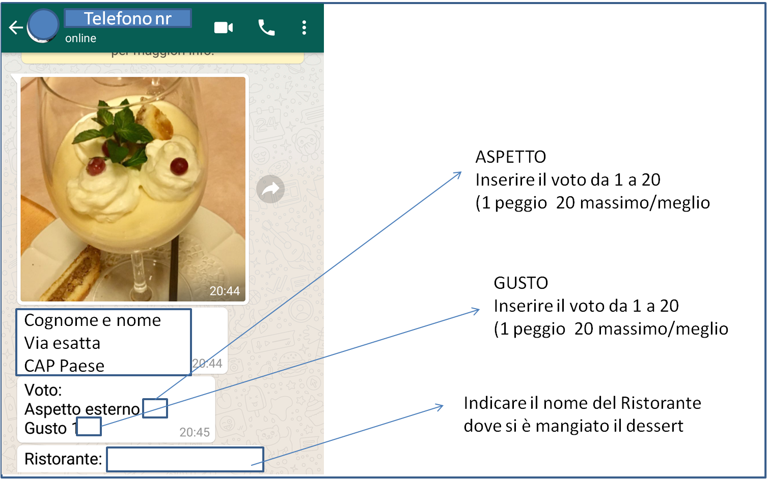 immagine di come si deve votare
