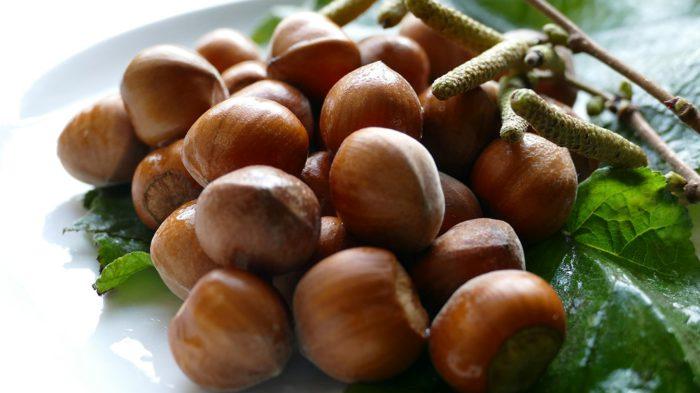 nocciole3