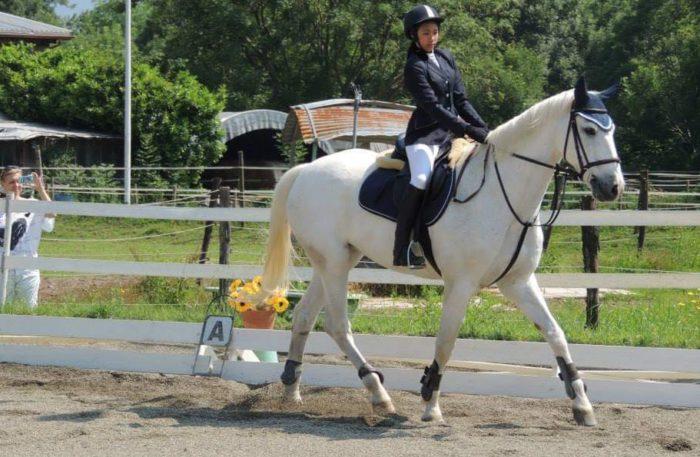 foto_HappyHours stabio cavallo dressage